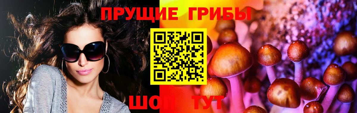 Псилоцибиновые грибы Psilocybe Екатеринбург
