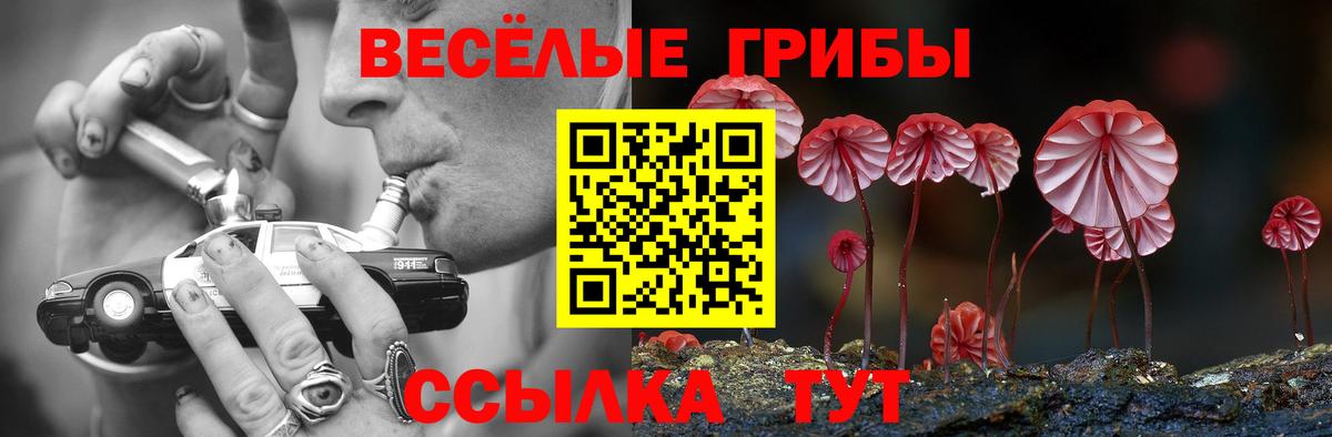 Екатеринбург  Галлюциногенные грибы MAGIC MUSHROOMS  Галлюциногенные грибы ЛСД  Вход с VPN 